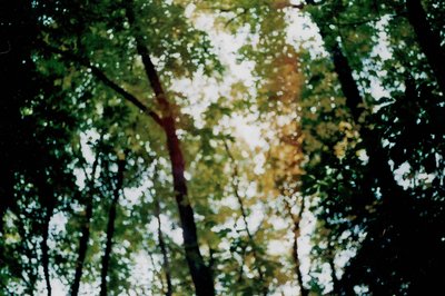 Climate dramaturgy